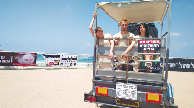 מיצג של אנונימוס נגד המשלוחים החיים (צילום: עמותת אנונימוס לזכויות בעלי חיים)