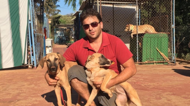 הכלביה ביפתח (צילום: אורית כיתיאן)