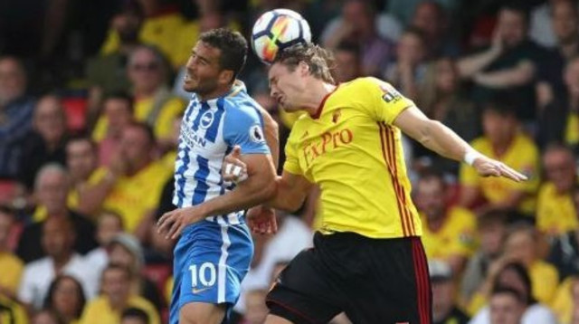 תומר חמד במדי ברייטון (צילום: Getty images)