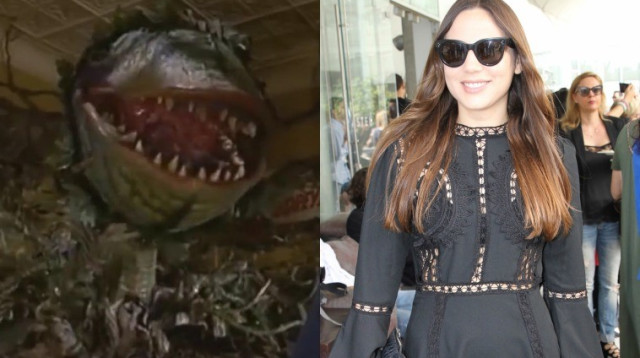 עמית פרקש, חנות קטנה ומטריפה (צילום: צילום מסך,שוקה כהן)