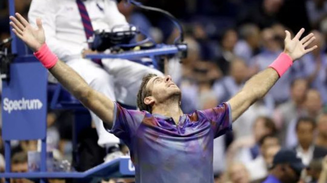 חואן מרטין דל פוטרו (צילום: AFP)