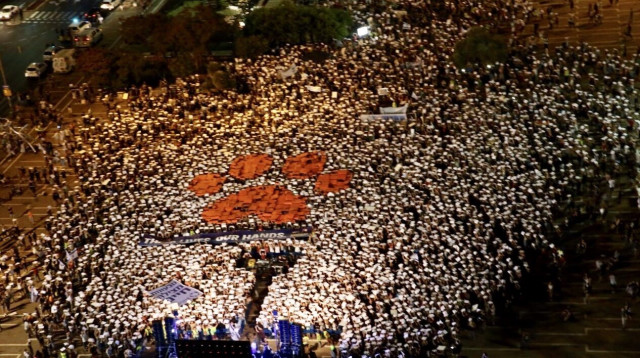 הפגנה למען זכויות בעלי החיים בתל אביב (צילום: אבשלום ששוני)