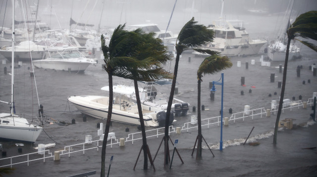 הוריקן אירמה (צילום: רויטרס)