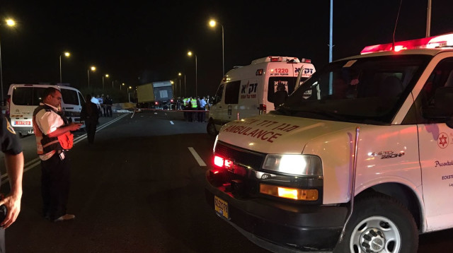 אמבולנס בתאונה בכביש 4 (צילום: מד"א)