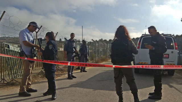 כוחות משטרה באזור הפיגוע בהר אדר (צילום: TPS)