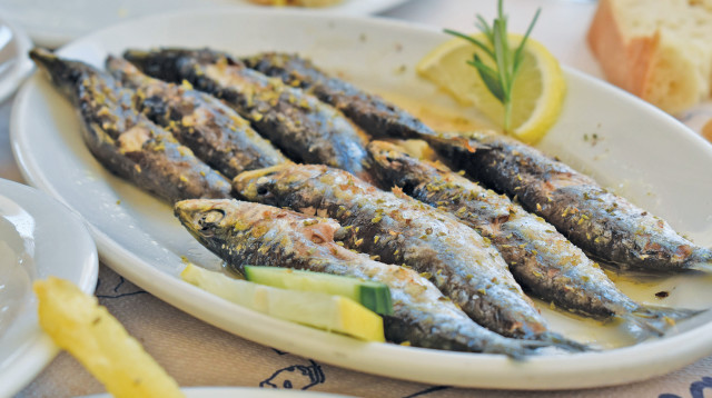 דגים טריים מהים (צילום: מיטל שרעבי)