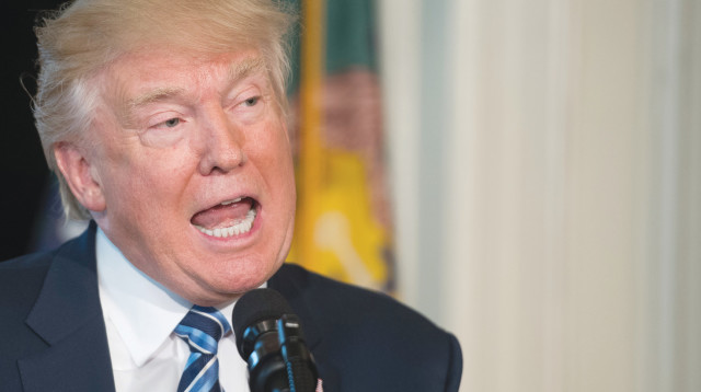 דונלד טראמפ  (צילום: AFP)