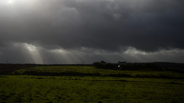 אופליה מגיעה לאירלנד (צילום: רויטרס)