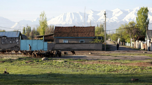 קירגיזסטן (צילום: רויטרס)