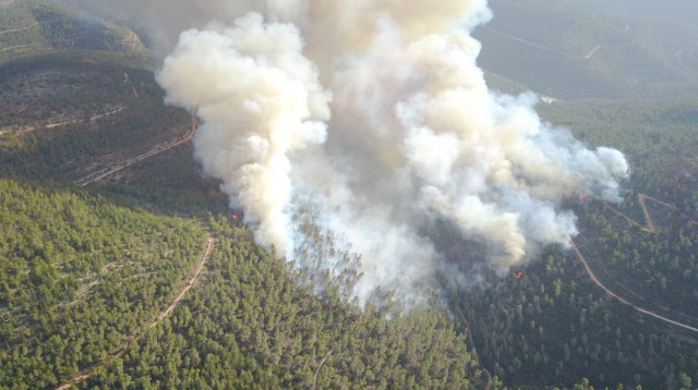 שריפה בסטף (צילום: דוברות המשטרה)