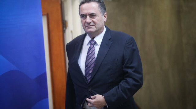 ישראל כץ (צילום: פלאש 90)