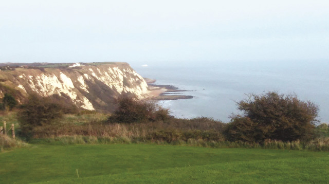 צוקי דובר (צילום: מאיר בלייך)