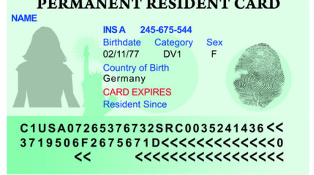 כרטיס גרין קארד (צילום: אילוסטרציה)