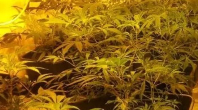 מעבדת הידרו (צילום: דוברות משטרת ישראל)