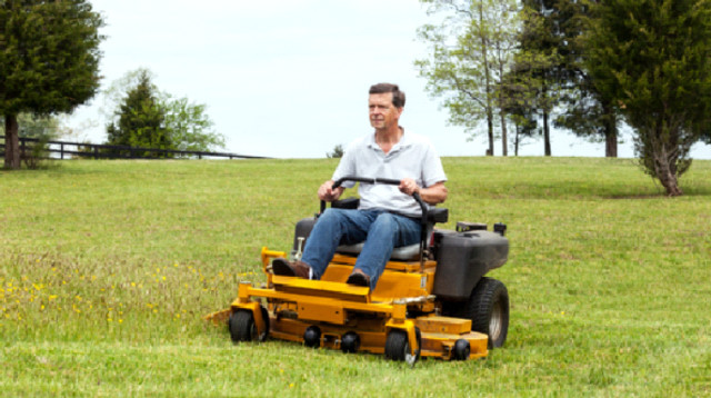 מכסחת דשא (צילום: ingimage ASAP)