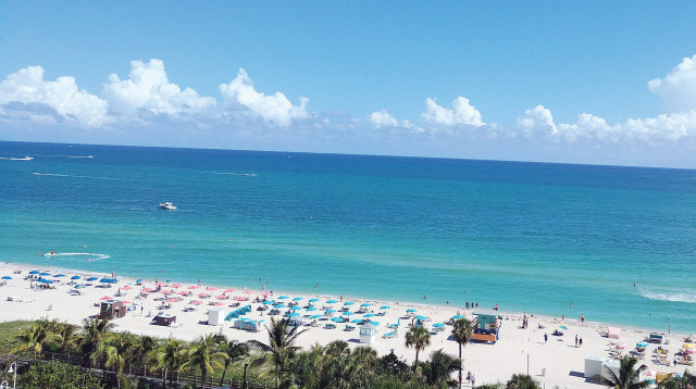 מיאמי ביץ' (צילום: ענת משה)