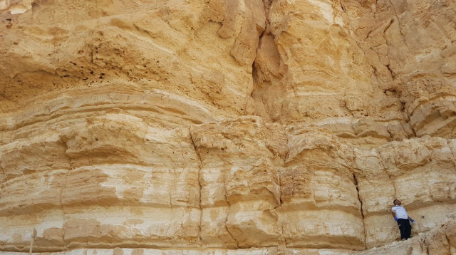 צעיר נהרג במהלך סנפלינג במצפה רמון (צילום: מד"א)