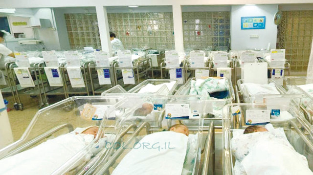 הפגייה בבית החולים לניאדו (צילום: יח"צ)