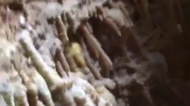 מערת נטיפים שנמצאה סמוך לראש העין (צילום: רשות הטבע והגנים)