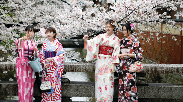 פריחת הדובדבן בקיוטו (צילום: רויטרס)