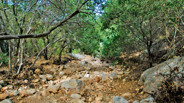 נחל ספונים (צילום: מיטל שרעבי)
