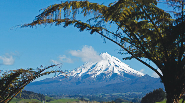 ניו זילנד (צילום: רויטרס)