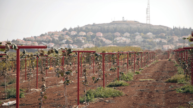 שטח חקלאי בסמוך למטולה (צילום: הדס פרוש , פלאש 90)
