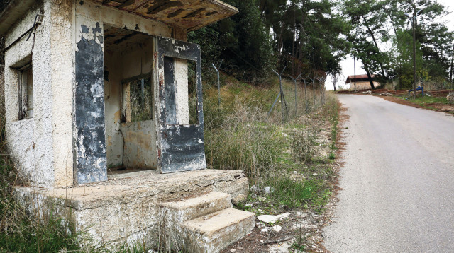 ג'וערה (צילום: אריאל בשור)