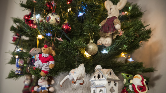 נובי גוד (צילום: הדס פרוש, פלאש 90)