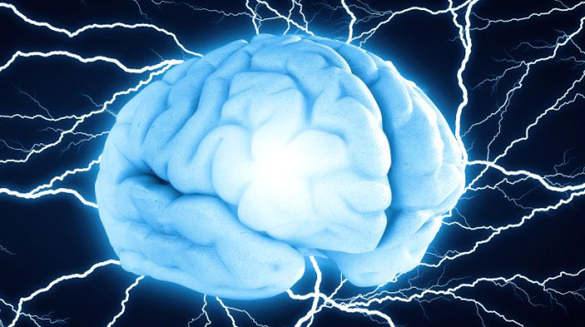 מוח (צילום: ingimage ASAP)