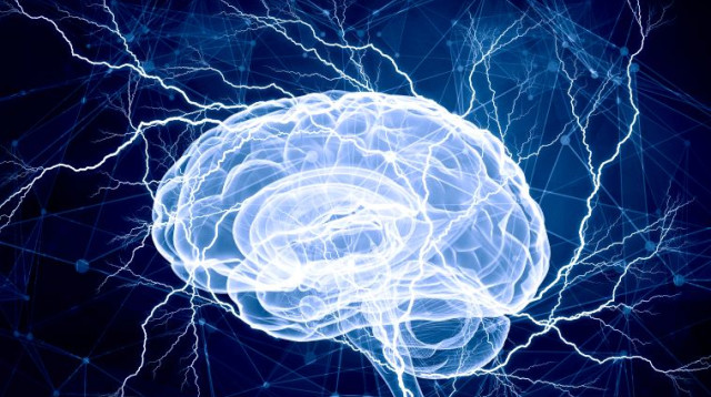 מוח (צילום: ingimage ASAP)