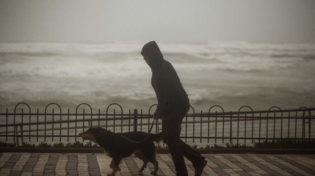 סערה  (צילום: מרסלו סוס, פלאש 90)