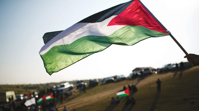 דגלי פלסטין באירועי יום האדמה באום אל־חיראן, מרץ 2016 (צילום: קורינה קרן פלאש 90)