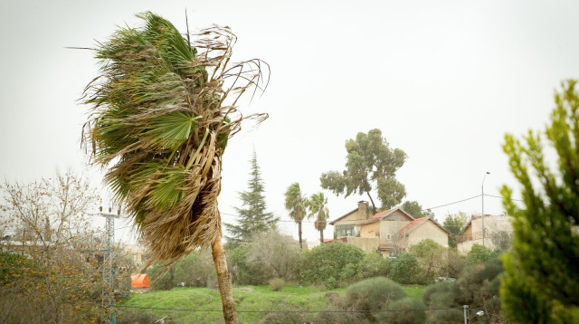 רוחות בבית אל, ארכיון (צילום: הלל מאיר/TPS)