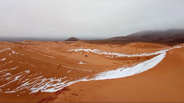 שלג במדבר סהרה (צילום: רויטרס)