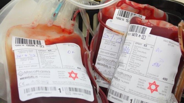 תרומת דם. סולידריות ככוח מניע מרכזי (צילום: דוברות מד"א)