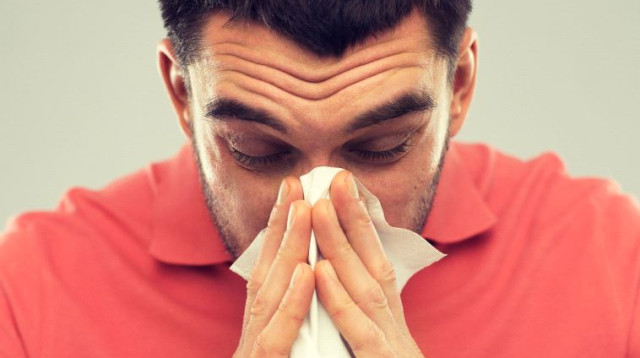 TISSUES (צילום: ingimage ASAP)