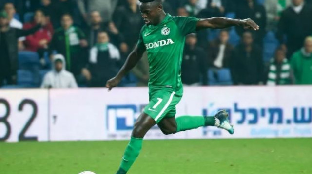 סינטיהו סלליך (צילום: ערן לוף)