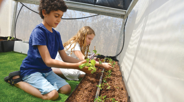 החממות של מרקס ובשארי (צילום: מגשימים חלומות)