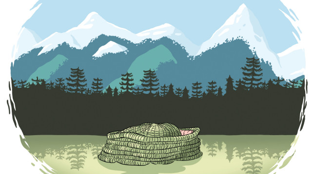 איור: ליאב צברי (צילום: איור: ליאב צברי)