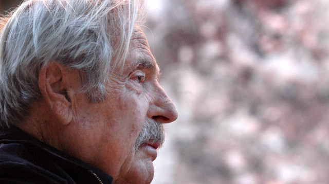 חיים גורי (צילום: יוסי זמיר, פלאש 90)