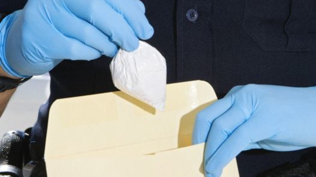 קטמין (צילום: ingimage ASAP)