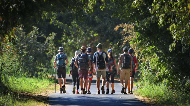 טיול בית ספר (צילום: יעקב לדרמן, פלאש 90)