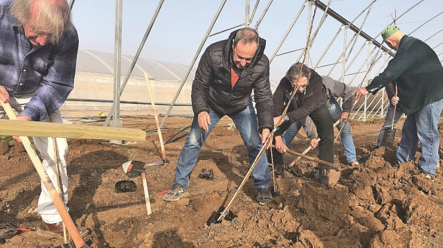 נטיעות עצי משמש בגליל (צילום: יעל שביט)