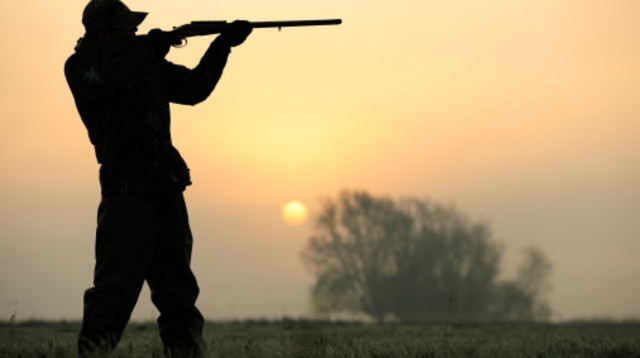 ציד (צילום: Getty images)