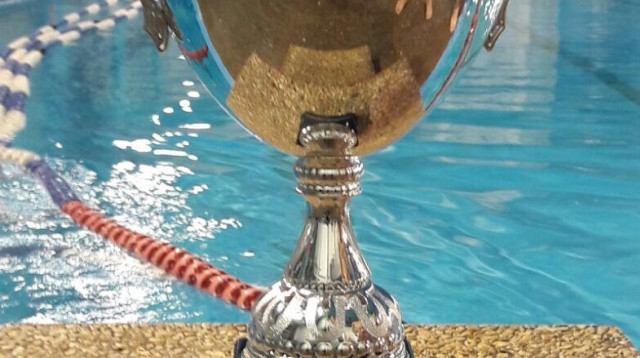 גביע המדינה בכדורמים (צילום: באדיבות מועדון ק. טבעון)