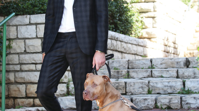 גל אפל (צילום: אלוני מור)