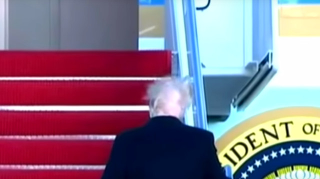 איור רון מיברג (צילום: יוטיוב)