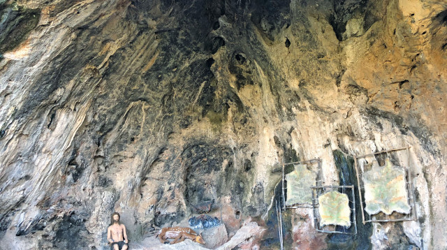 טיול בשמורת נחל מערות שבכרמל (צילום: מיטל שרעבי)