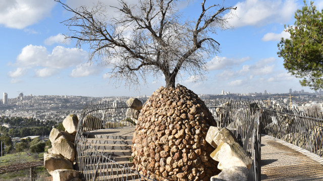 מצפה יאיר (צילום: מיטל שרעבי)